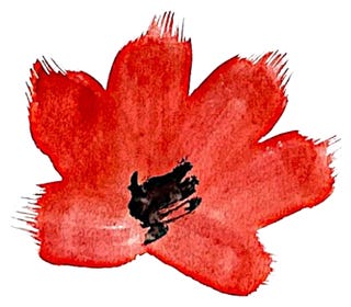 red flower