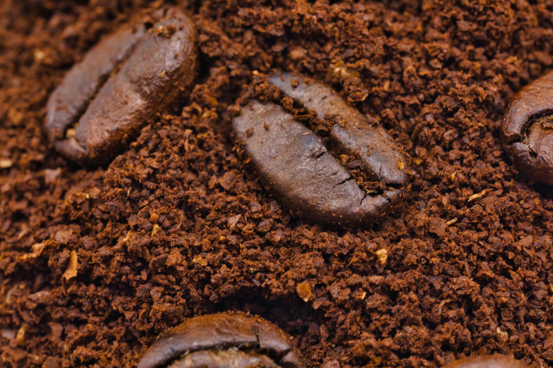 Close-up view of coffee grounds showing texture and particle size used in skincare treatments