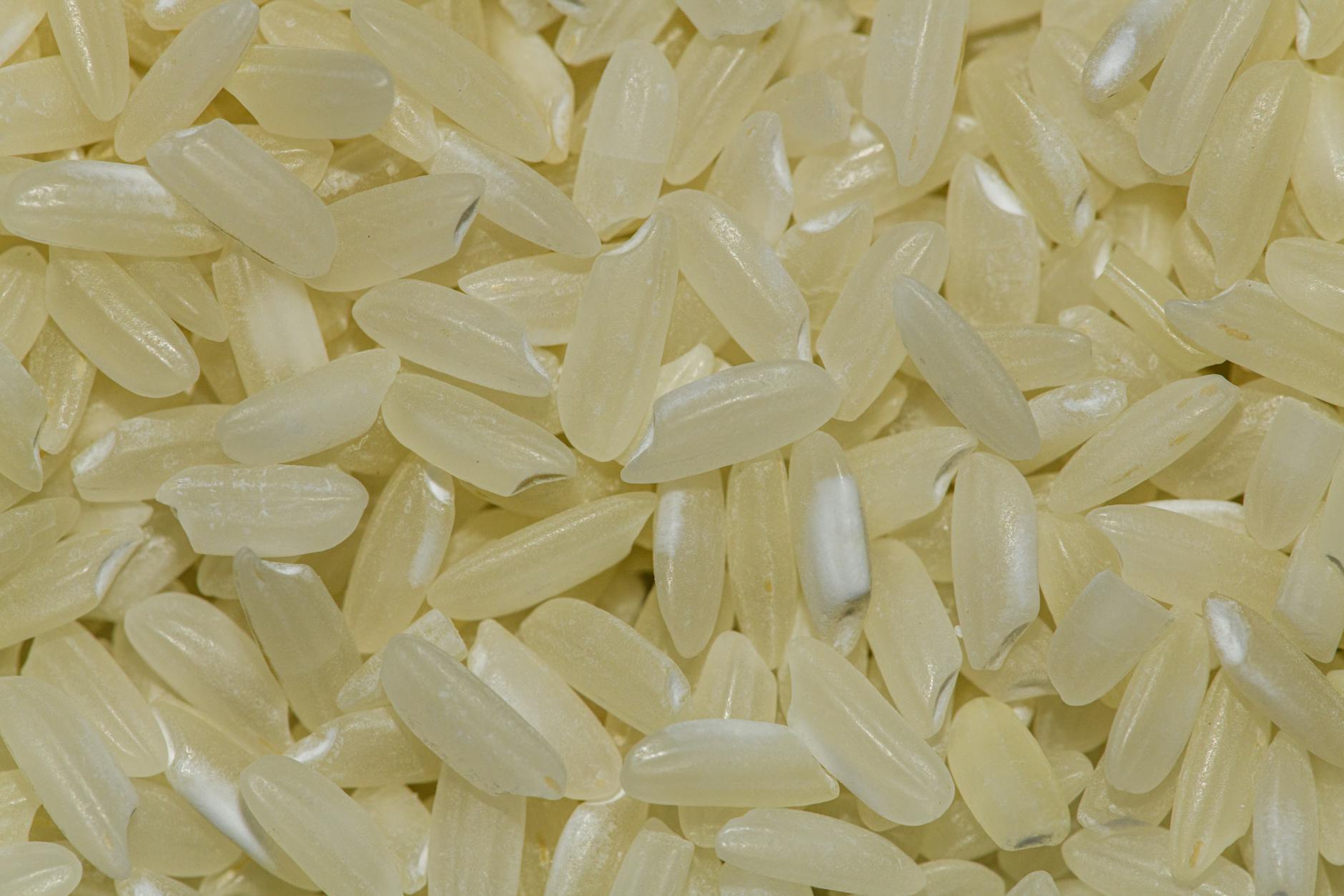 Close-up view of white rice grains scattered on natural surface