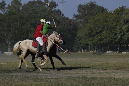 Close-up of a polo pony's bandaged lower legs before a match