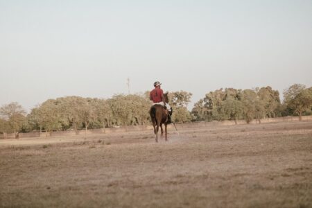 Polo players on a grass field during a match, showing traditional sporting attire