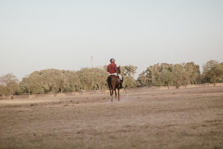 Polo players on a grass field during a match, showing traditional sporting attire
