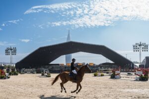 Close-up of a polo pony with a bundled tail net at an equestrian event