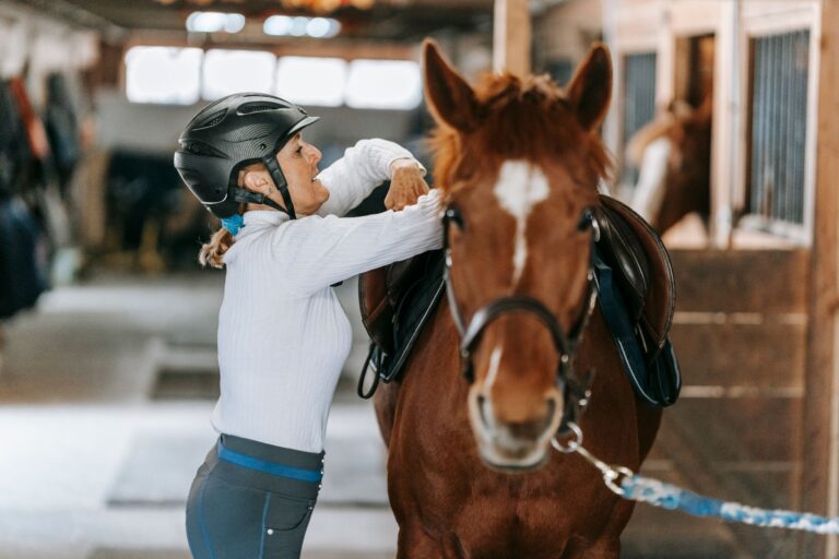 Close-up of an English saddle showing the curved pommel roll structure