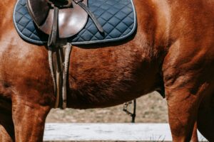 Close-up of a leather polo saddle showing the gullet channel structure along the spine
