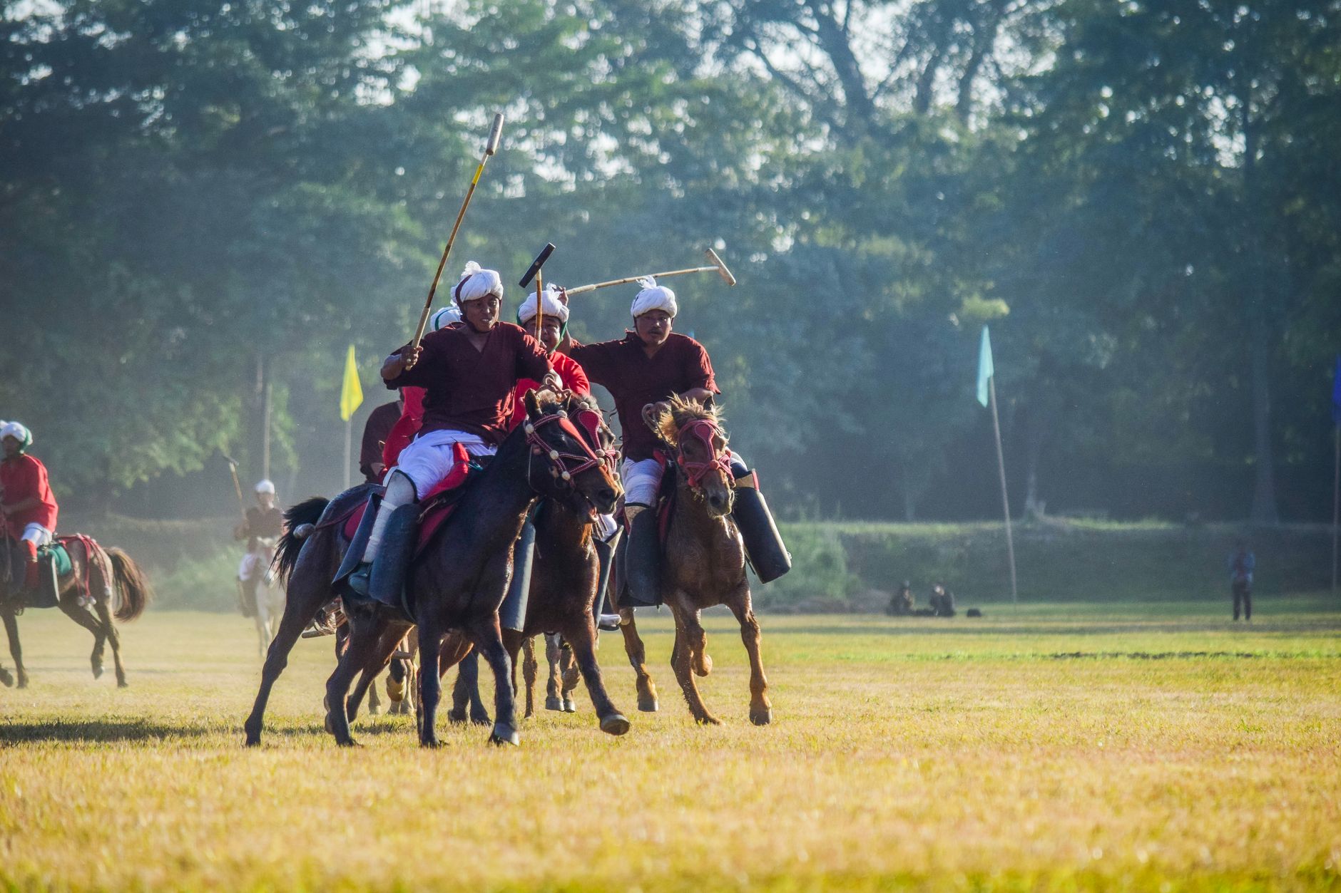 Polo ponies wearing numbered saddle cloths with contrast piping trim during a match