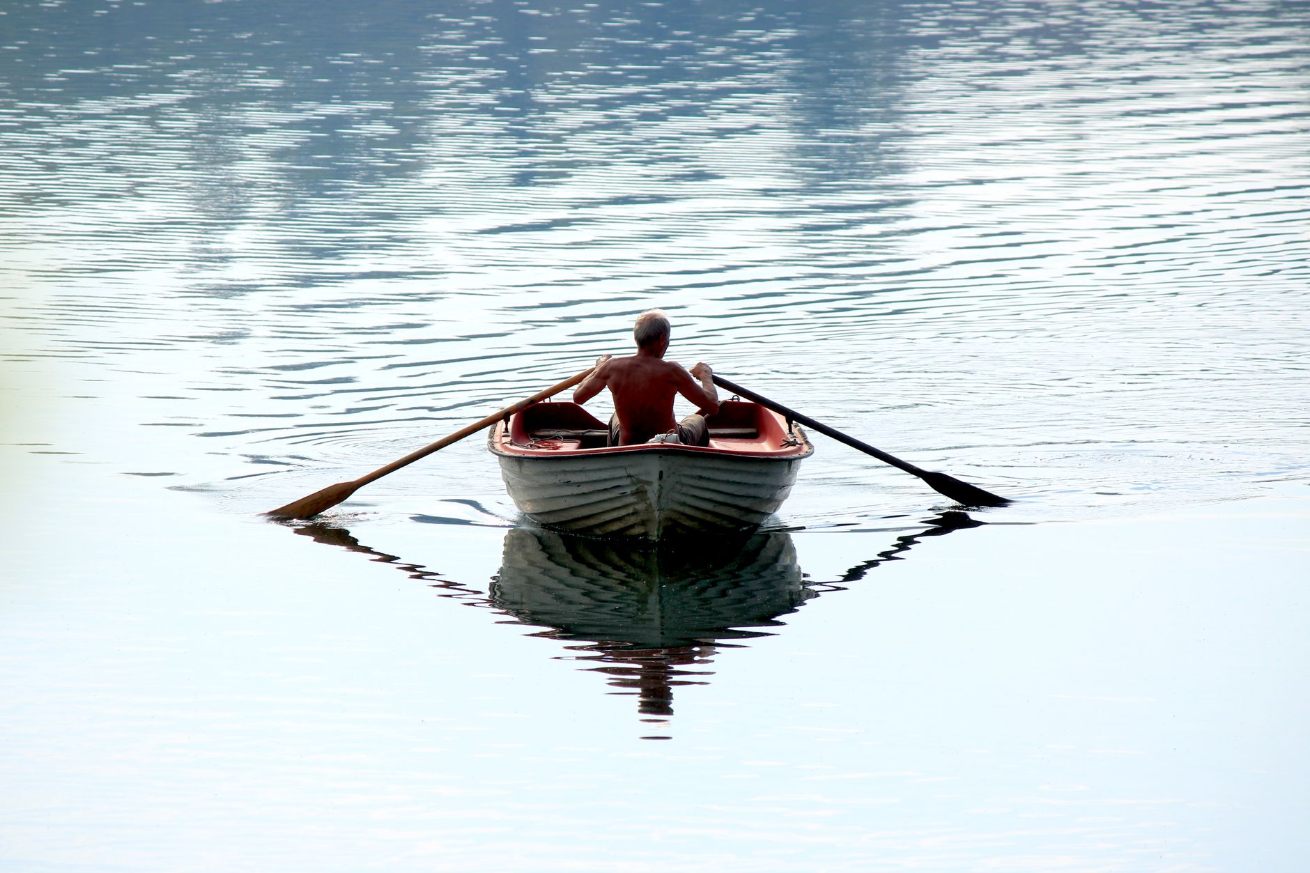 Rowing oar blades cutting through water surface, showing the elongated paddle silhouette