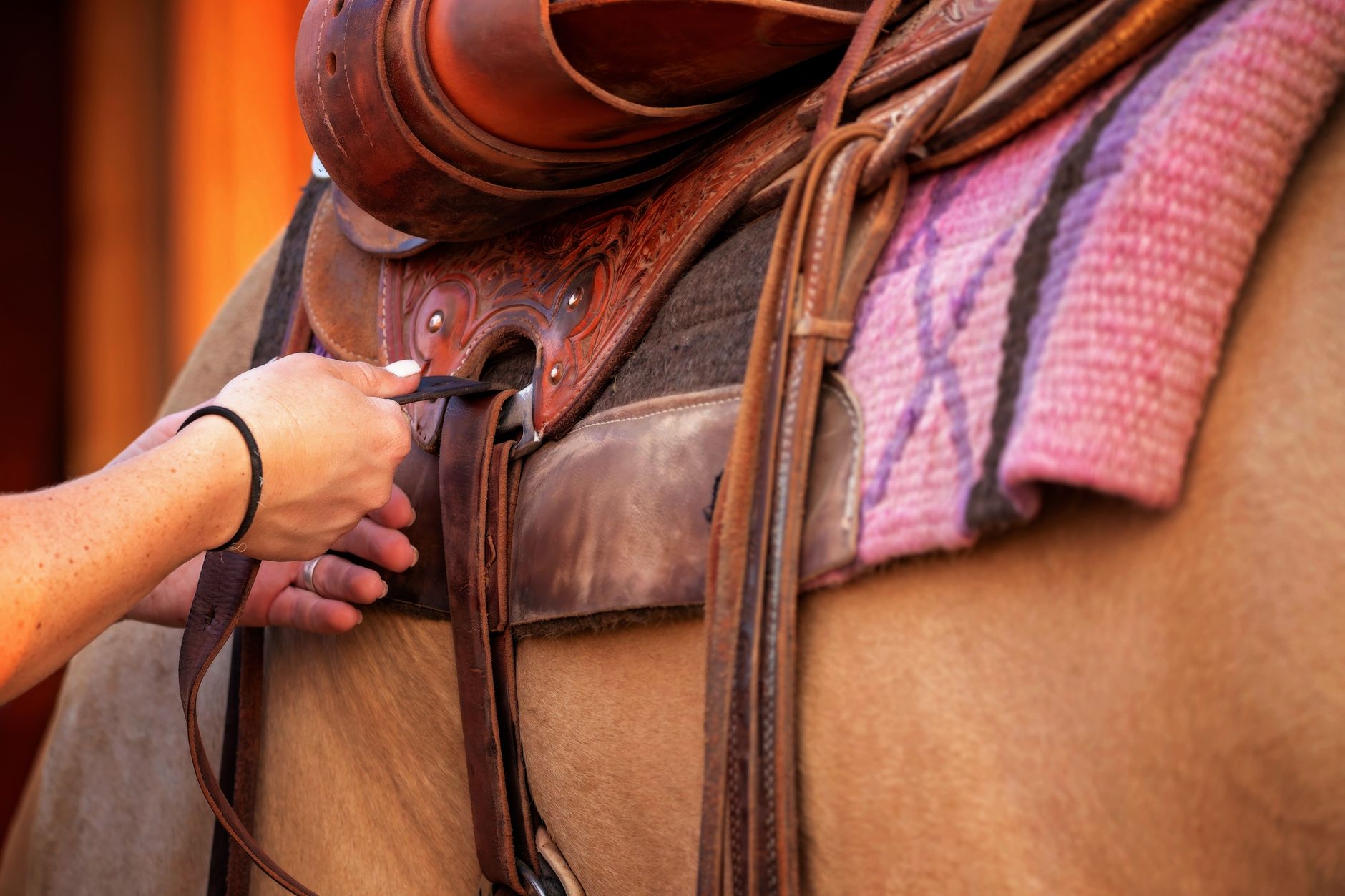 Detail of a polo saddle showing strap keeper loops and buckle hardware