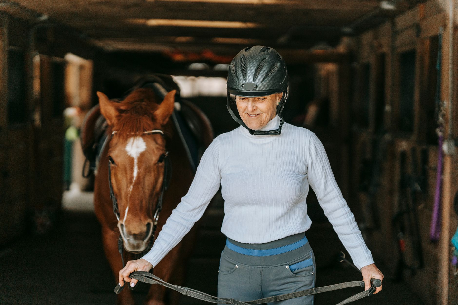 Equestrian accessories including striped surcingle webbing belt laid flat on a wooden surface