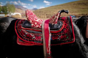Close-up of a polo saddle showing metal hardware and structured arch at the pommel