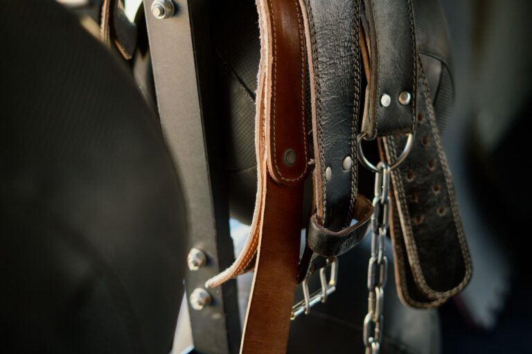 Polo Club Girth Billet Holes Are Quietly Punching Into Minimalist Belt Notching Close-up of a minimalist leather belt with evenly spaced punched holes along its length
