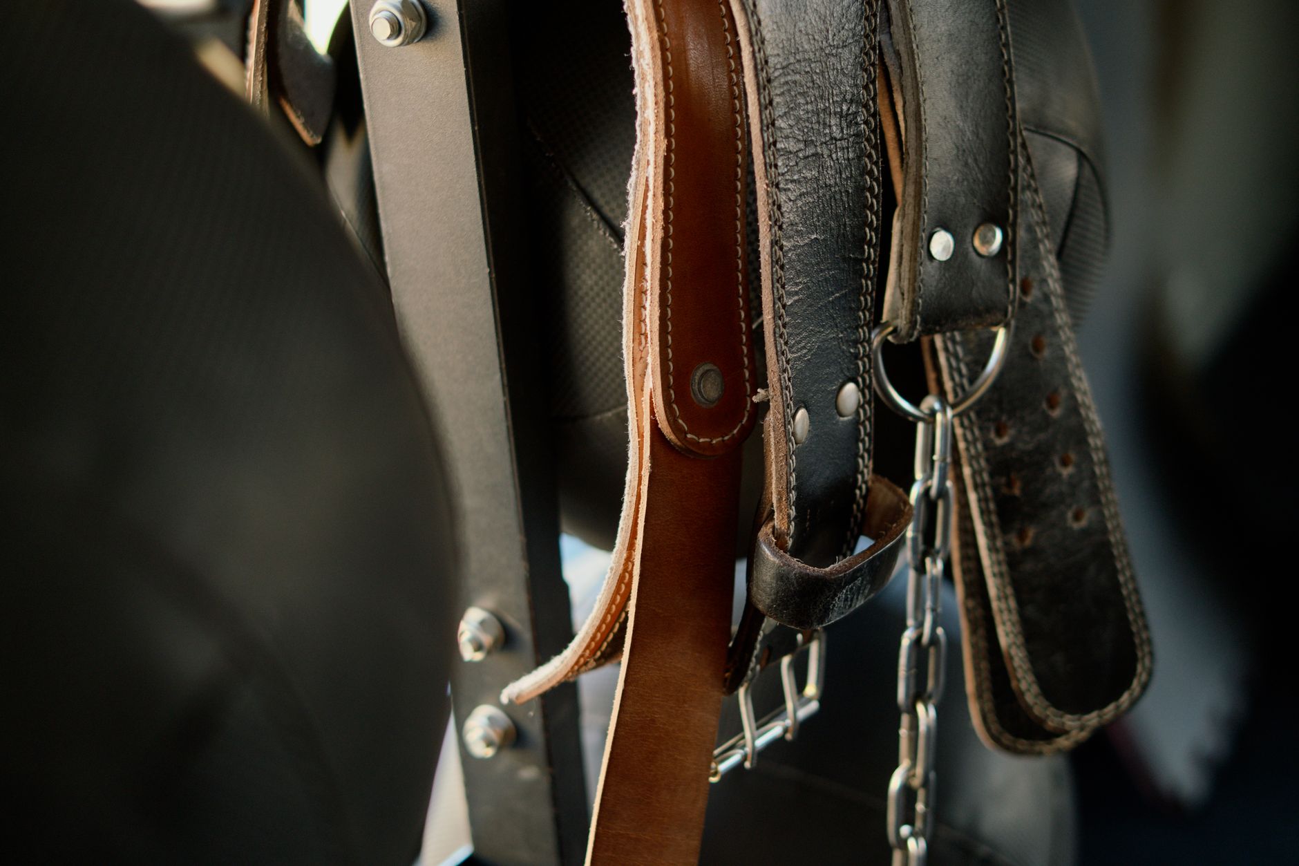 Close-up of a minimalist leather belt with evenly spaced punched holes along its length