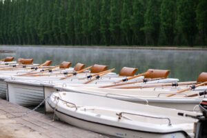 Rowing club dock in early morning light with equipment visible on the water's edge