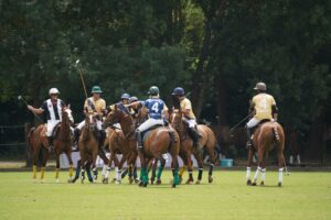 Polo Club Fly Veil Browband Fringe Is Quietly Trimming Minimalist Headband Edges A polo pony wearing a crocheted fly veil browband with short fringe along the forehead