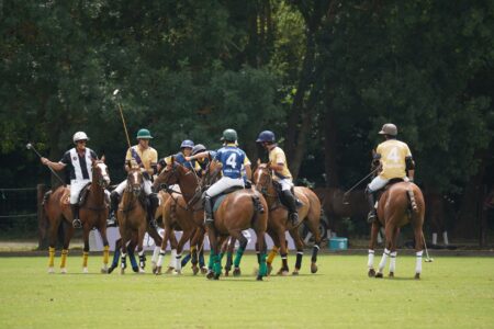A polo pony wearing a crocheted fly veil browband with short fringe along the forehead