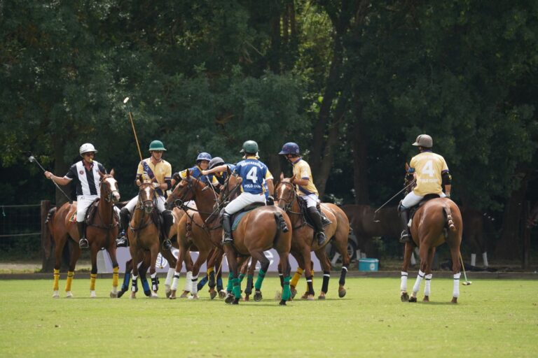 Polo Club Fly Veil Browband Fringe Is Quietly Trimming Minimalist Headband Edges A polo pony wearing a crocheted fly veil browband with short fringe along the forehead