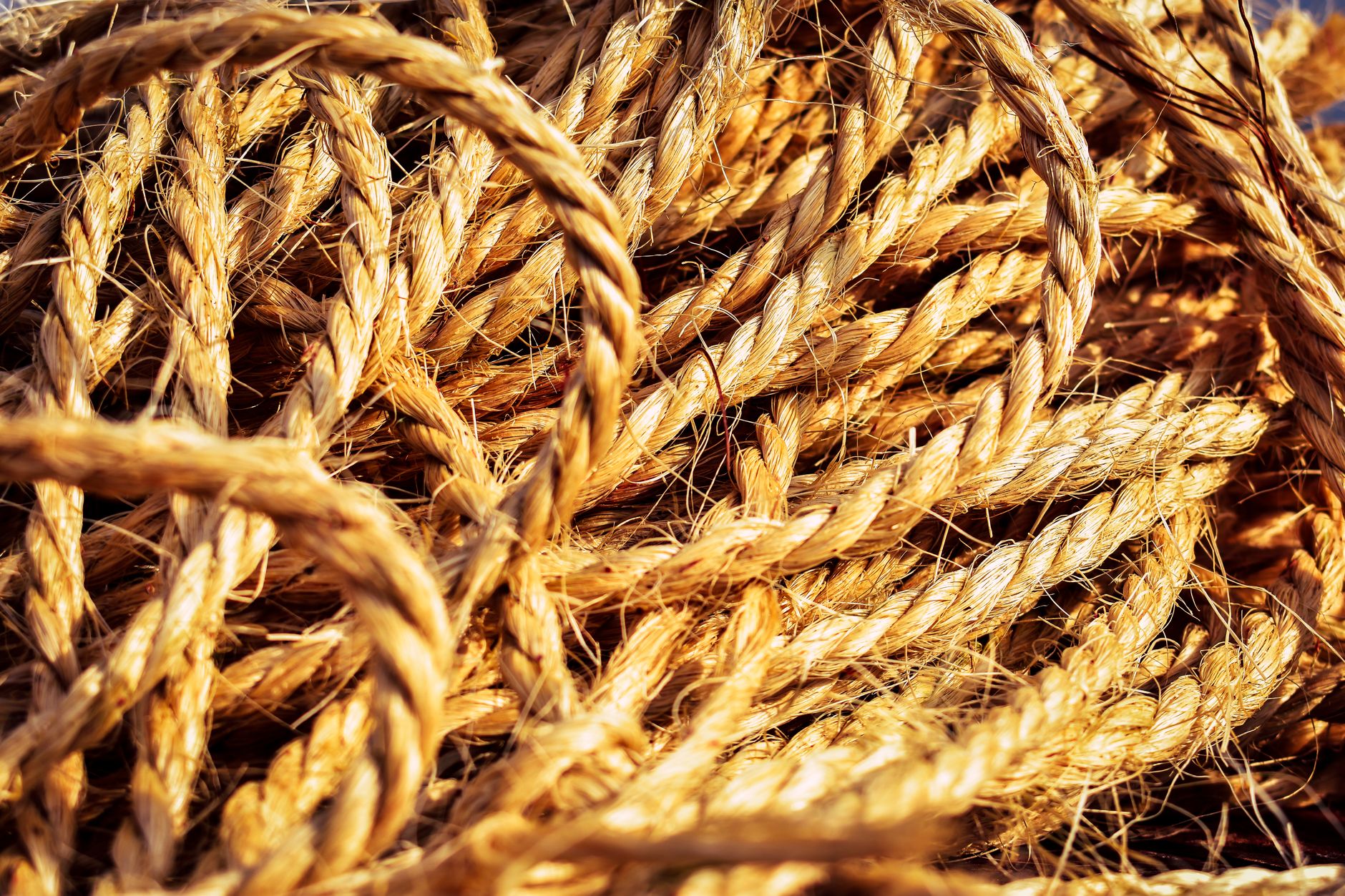 Close-up of tightly wound natural cord showing ribbed texture and geometric structure