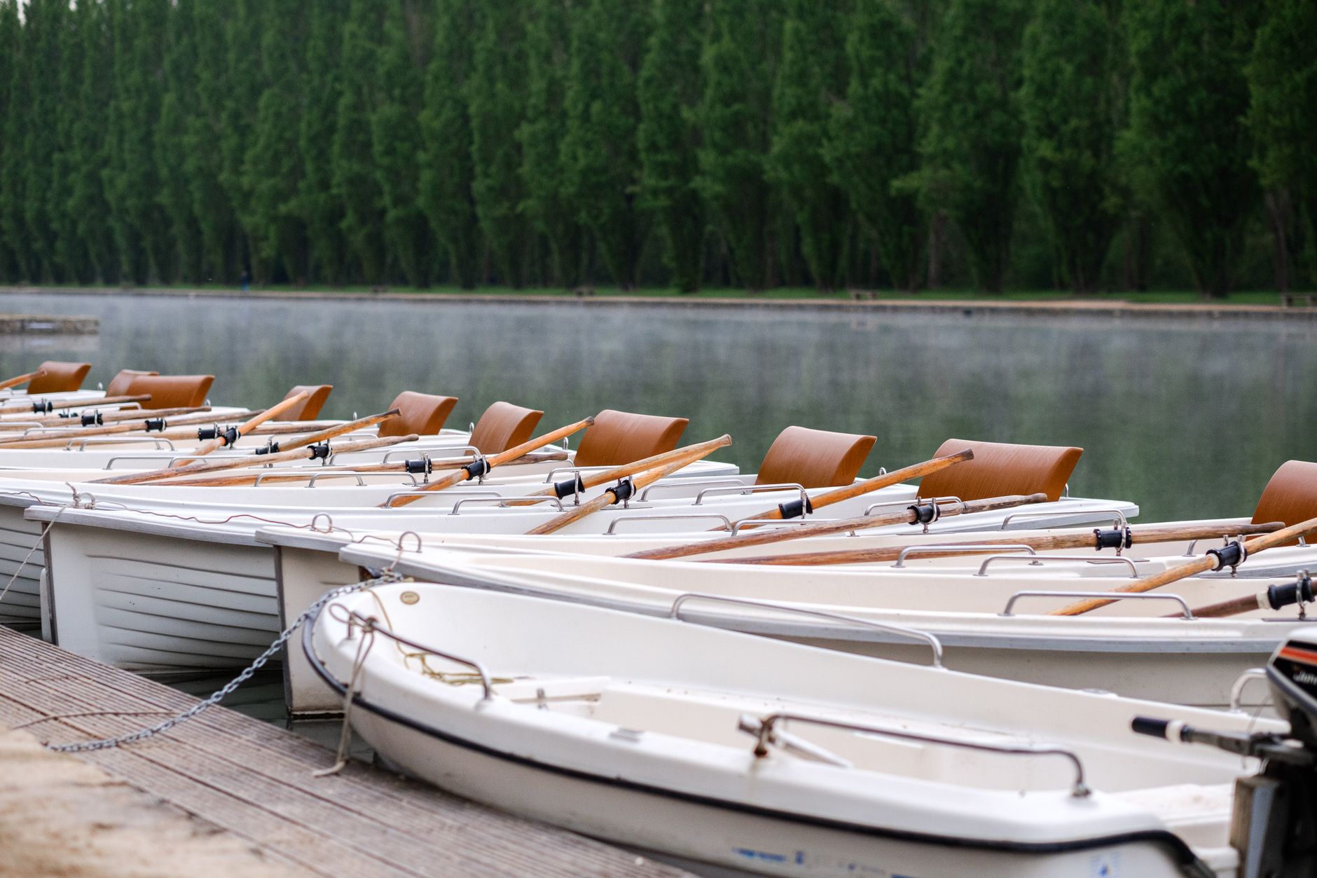 Rowing club dock in early morning light with equipment visible on the water's edge