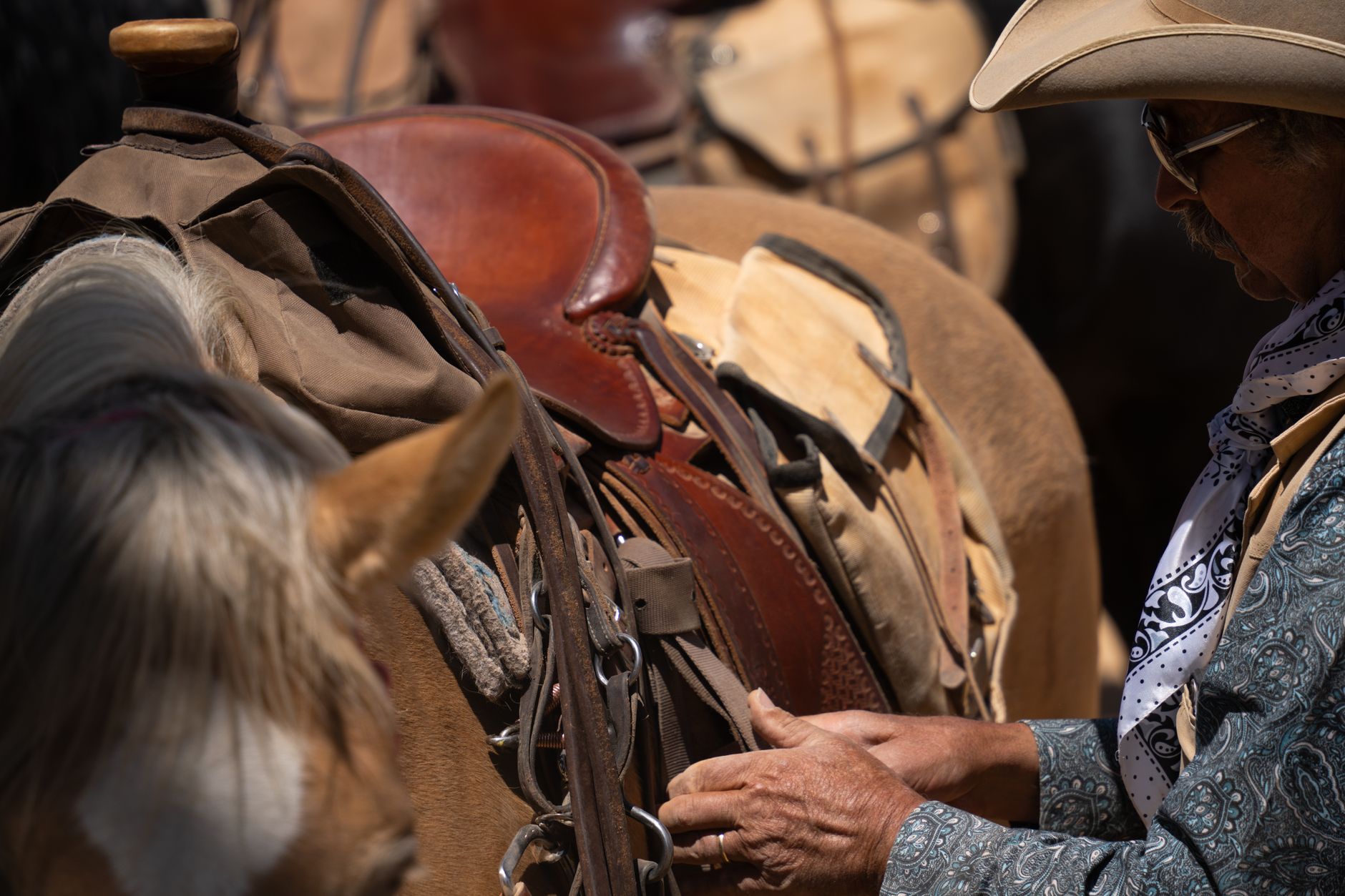 Close-up of leather saddle hardware showing keeper loop and strap construction detail