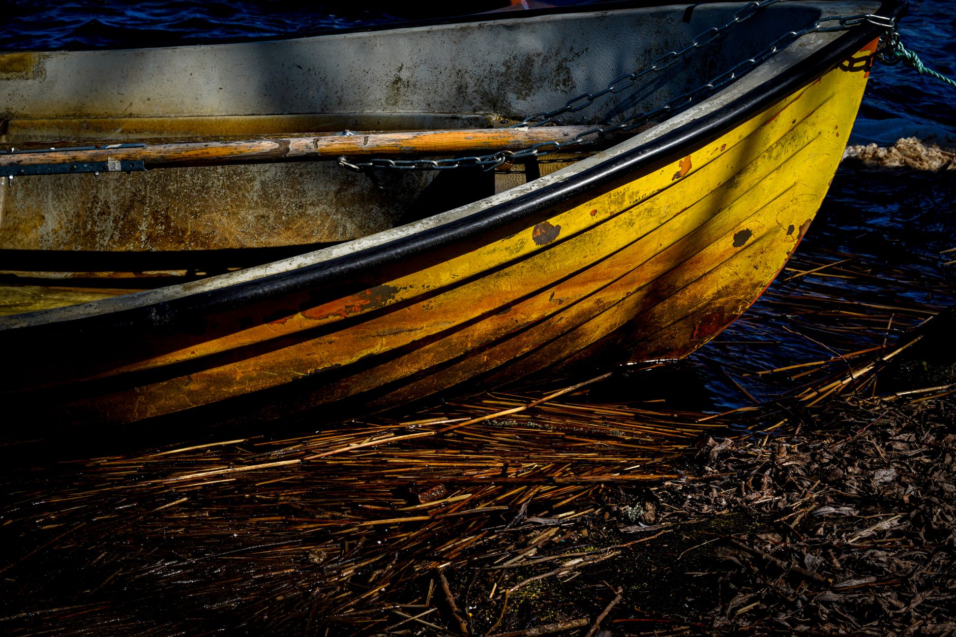 Close-up of a rowing shell hull showing protective rubbing strip edging along the waterline